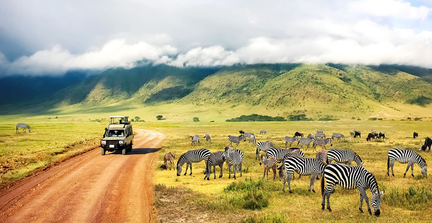 nouveaux endroits avec traveltodo